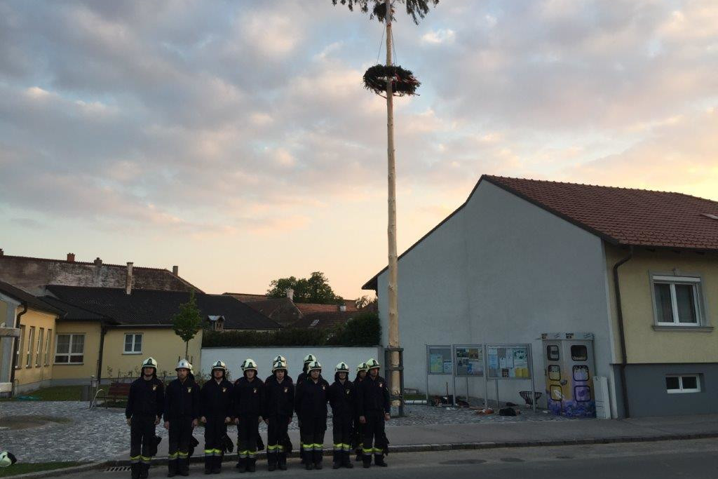 Maibaum 2017