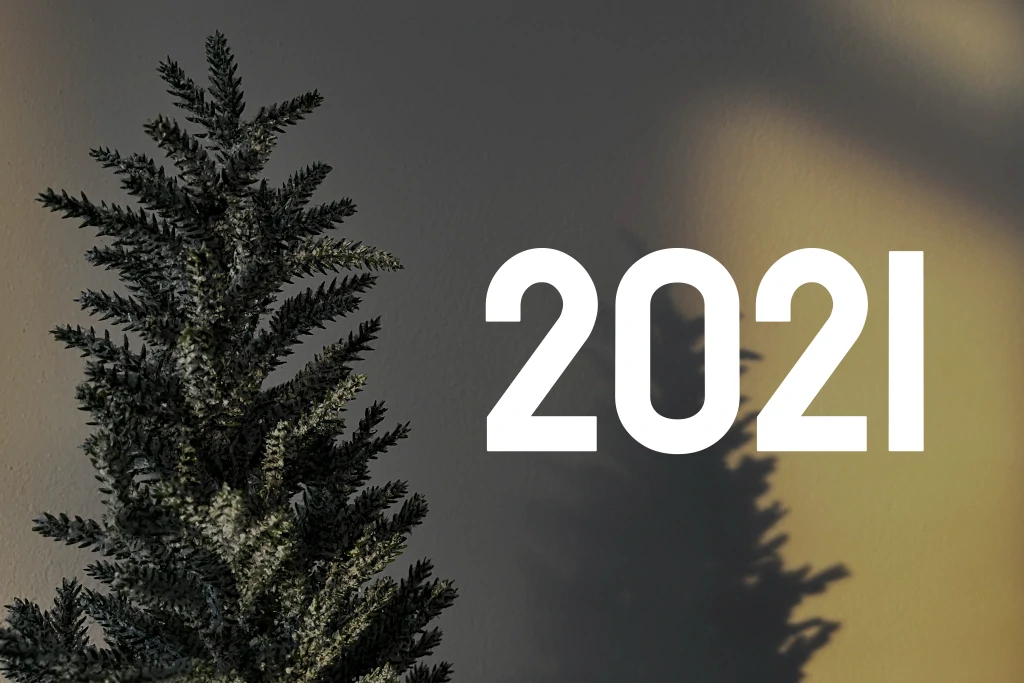 Jahresrückblick 2021 & Glückwünsche