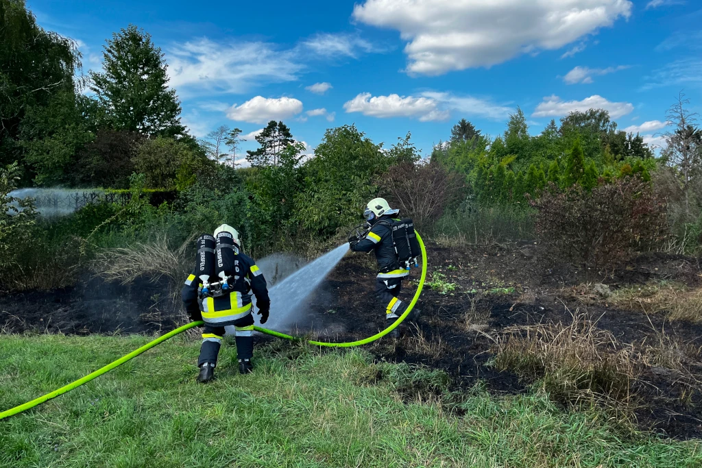 B1 – Flurbrand Grießleitenweg