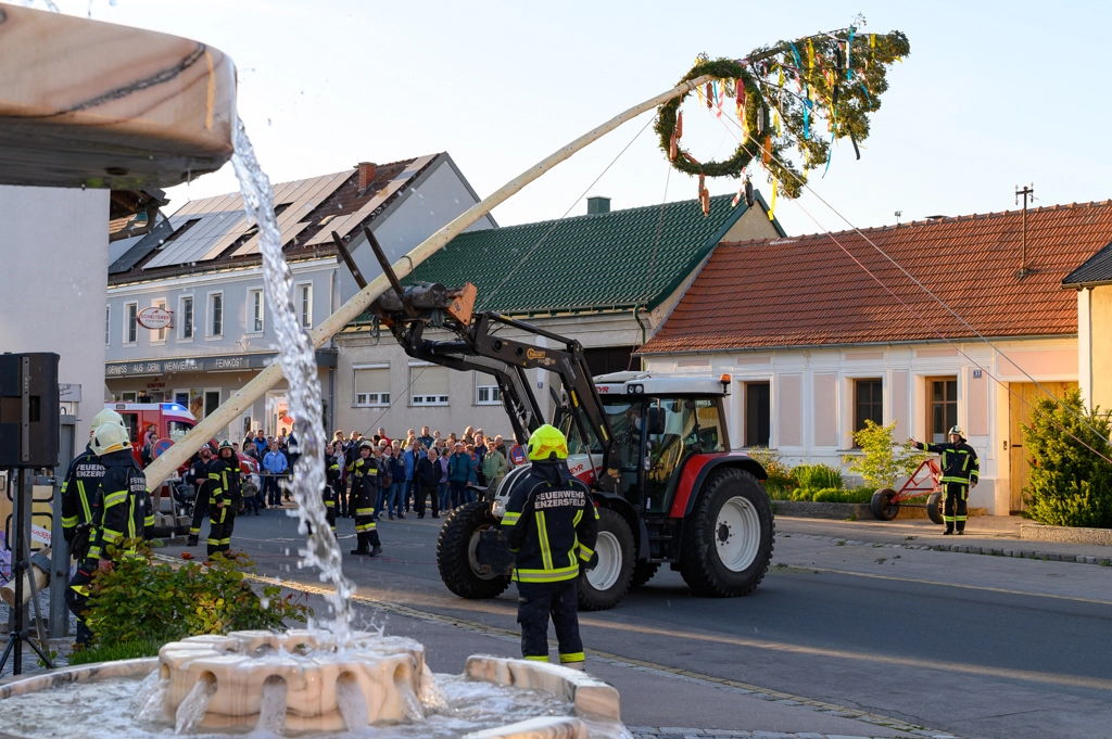 Maibaum 2026